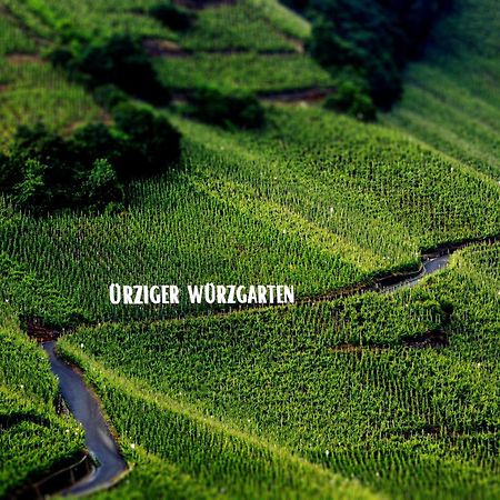 Apartment Weingut Dr Hermann I Erden Buitenkant foto